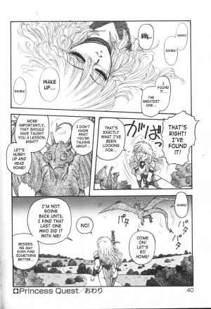 [Yui Toshiki] Princess Quest Saga [English] [SaHa] - Page 41