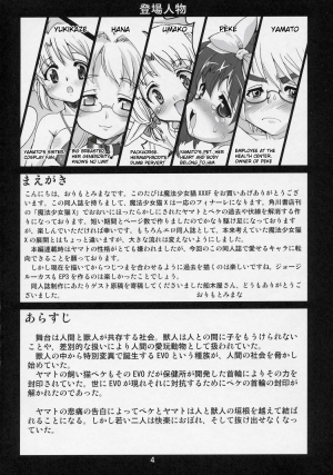 (C69) [Kenro Koubo (Orimoto Mimana)] Mahou Shoujo Neko XXX F (Mahou Shoujo Neko X) [English] - Page 4