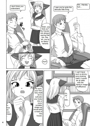 (C64) [Aa, Warera Katou Hayabusa Sentoutai (Katou)] Maru-Maru | Maru2 [English] - Page 5