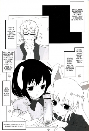 (Reitaisai 6) [Itou Life] Touhou Usa Usa (Touhou Project) [English] [CGRascal] - Page 3