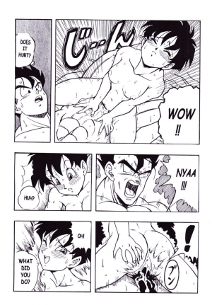 (C51) [Rehabilitation (Garland)] DRAGONBALL H Maki ni (Dragon Ball Z) [English] - Page 21