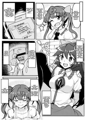 (Reitaisai 11) [Takeya (Taketora Suzume)] Isseki Ni Karasu | Two Crows With One Stone (Touhou Project) [English] - Page 3