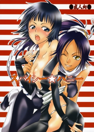 (C70) [Kurione-sha (YU-RI)] Spicy Honey (Bleach) [English] [H4chan]