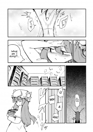 (C80) [Shironegiya (miya9)] Waisetsu Toshokan (Touhou Project) [English] [Samachan] - Page 6