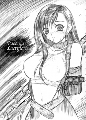 (CR31) [Yakan Hikou (Inoue Tommy)] Paeonia Lactiflora (Final Fantasy VII) [English] - Page 3