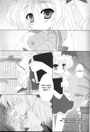 (C72) [Reverse Noise (Yamu)] MAKE-UP ROUGE (Touhou Project) [English] [SMDC] - Page 5