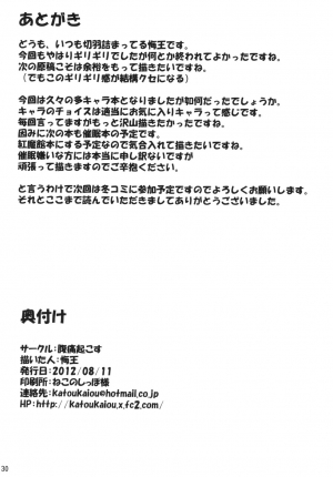 (C82) [Fukutsuu Okosu (Kaiou)] Gensou Saimin (Touhou Project) [English] [naxusnl] - Page 30