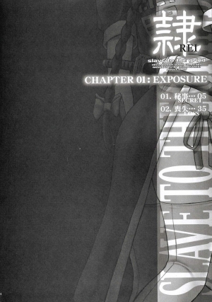  (C68) [Hellabunna (Iruma Kamiri)] REI - slave to the grind - CHAPTER 01: EXPOSURE (Dead or Alive) [English] [Oseya]  - Page 4
