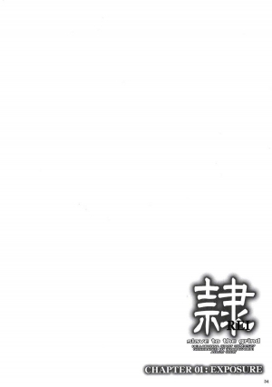  (C68) [Hellabunna (Iruma Kamiri)] REI - slave to the grind - CHAPTER 01: EXPOSURE (Dead or Alive) [English] [Oseya]  - Page 34