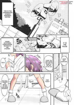 (C82) [Low-Tension (Tsutsumi)] Orinrin to Ochinchin no Kagaku Hannou (Touhou Project) [English] [desudesu] [Colorized] - Page 3