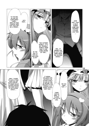 [Hibiki Kagayaki] A Book Where Patchouli and Satori Look Down On You With Disgust (English) - Page 6