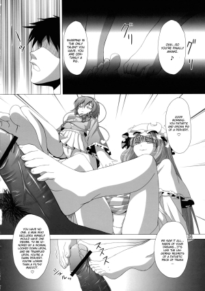 [Hibiki Kagayaki] A Book Where Patchouli and Satori Look Down On You With Disgust (English) - Page 8