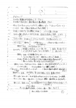 [Pride ZERO] Hourai Ninshin (Touhou Project) [English] [desudesu] - Page 40