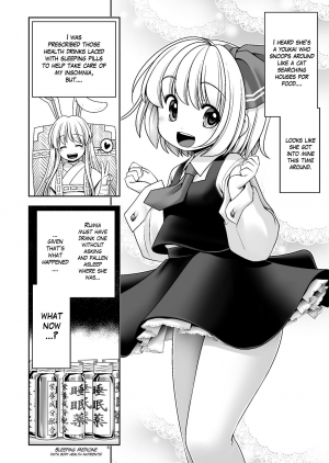 [Yosutebito na Mangakaki (Tomoki Tomonori)] Kaihatsu Minkan (Touhou Project) [English] {Mant} [Digital] - Page 7