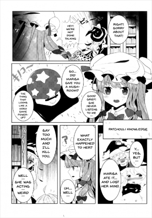 (Shuuki Reitaisai 4) [Dai ③ no Shippo (ATM)] Ecchi na Gensoukyou ~Patchouli to Ecchi na Mahou Hen~ (Touhou Project) [English] {doujins.com} - Page 6