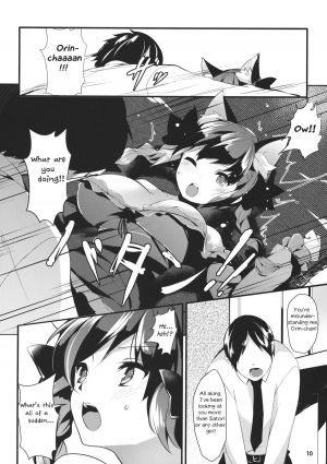 (Reitaisai 11) [Tetsu no Otoshigo (Chirorian)] Neko no Kimochi wa Futeikei (Touhou Project) [English] - Page 10