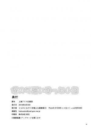 (Daikyuushuu Touhousai 29) [Yosutebito na Mangakaki (Tomoki Tomonori)] Boku no Kawaii Komatta Kooni (Touhou Project) [English] {Mant} - Page 35