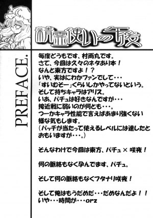 (SC28) [Domestic animals (Murasame Maru)] Seireitsukai no Gogo | Afternoon of The Sorceress (Touhou Project) [English] [SaHa] - Page 4
