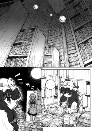 (SC28) [Domestic animals (Murasame Maru)] Seireitsukai no Gogo | Afternoon of The Sorceress (Touhou Project) [English] [SaHa] - Page 5