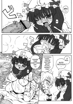 (SC28) [Domestic animals (Murasame Maru)] Seireitsukai no Gogo | Afternoon of The Sorceress (Touhou Project) [English] [SaHa] - Page 11
