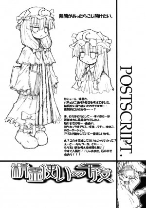(SC28) [Domestic animals (Murasame Maru)] Seireitsukai no Gogo | Afternoon of The Sorceress (Touhou Project) [English] [SaHa] - Page 25