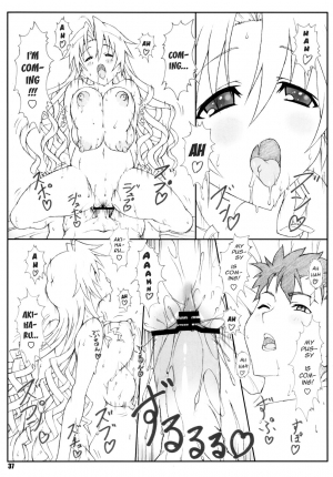 (C78) [Shikishima GunTool (Shikishima Tenki, Shikishima Shoutarou)] Shukujo Zukan I (Ladies versus Butlers!) [English] [YQII] - Page 37