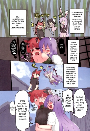 (C88) [RTD (Mizuga)] Mind Shaker (Touhou Project) [English] [Erelzen] - Page 3