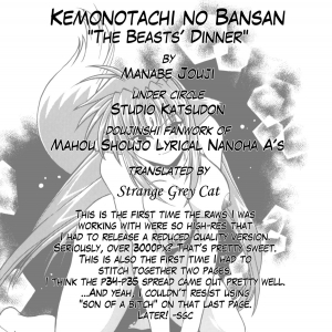 (SC34) [Studio Katsudon (Manabe Jouji)] Kemonotachi no Bansan (Mahou Shoujo Lyrical Nanoha) [English] - Page 41