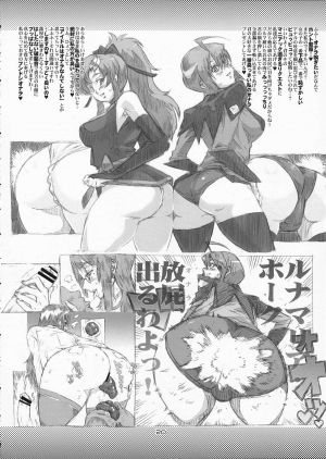 (C76) [Combat Mon-Mon (Hiratsura Masaru)] ANA TO YOME (Queen's Blade) [English] {Brolen} - Page 20