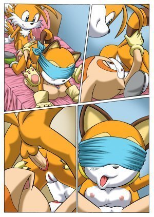 Sonic xxx Project 2.5- Pal Comix - Page 5