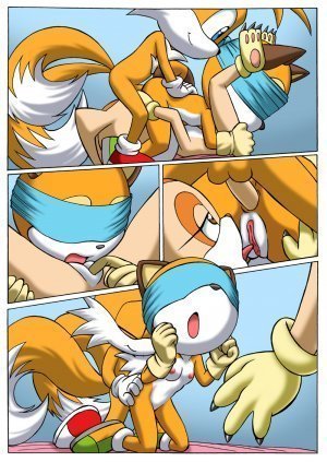 Sonic xxx Project 2.5- Pal Comix - Page 6