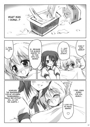 (C74) [54burger (Marugoshi)] Rainbow Bridge (Touhou Project) [English] [desudesu] - Page 28