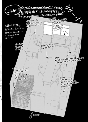 [House Saibai Mochi (Shiratama Moti, Kagono Tori)] Hadaka no Kozue-chan [English] [SquigglesJP] [Digital] - Page 24