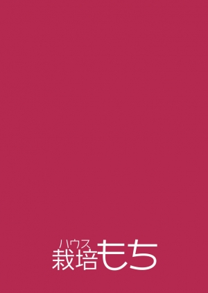[House Saibai Mochi (Shiratama Moti, Kagono Tori)] Hadaka no Kozue-chan [English] [SquigglesJP] [Digital] - Page 31