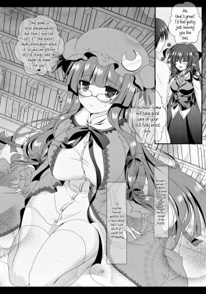 (C84) [Setoran (Itou Seto, Tanno Ran)] MAGIC MAGIC (Touhou Project) [English] {Afro} - Page 29