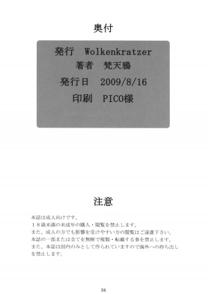 (C76) [Wolkenkratzer (bontenkarasu)] Decadence Soul (Soul Calibur) [English][SaHa] - Page 34