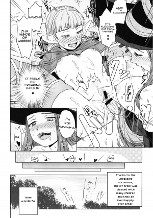 (C80) [TOLUENE ITTOKAN (Pierre Norano, Shinagawa Ham)] Ketsu!MegatonDC (Dragon's Crown) [English] =PineapplesR'Us= - Page 12
