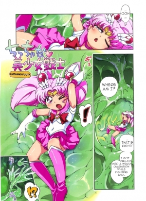 (Puniket 22) [Puchi-ya (Hoshino Fuuta)] Chiccha na Bishoujo Senshi (Bishoujo Senshi Sailor Moon) [English] [Trinity Translations Team] - Page 3