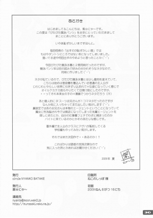 (C76) [Nyanko Batake] Pitapita Kyouei Pantsu [English] - Page 30