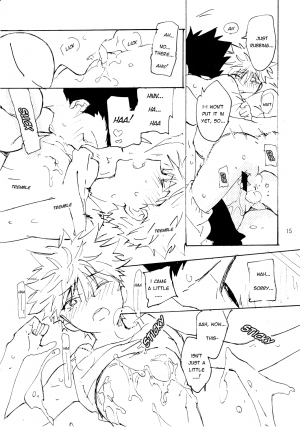 [Watagashi Maker (Tomiko)] Rakunoufuufu (Hunter x Hunter) [English] [Willeke4439] - Page 15