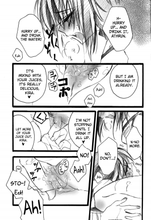 (C68) [RIRIADOLL (Takewakamaru)] Kira-chan ni Onegai! (Kidou Senshi Gundam SEED DESTINY) [English] [biribri] - Page 19