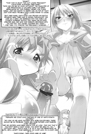 (C75) [Misty Isle (Sorimura Youji)] Koi no Mahou de PON!! (Zero no Tsukaima) [English] [Tigoris Translates] - Page 30