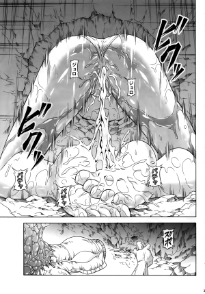 (C84) [Yokohama Junky (Makari Tohru)] Solo Hunter no Seitai 4 The second part (Monster Hunter) [English] [darkclone] - Page 25