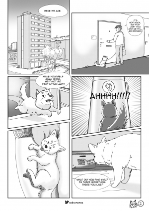  Life with a dog girl - Chapter1 (ongoing) - Page 4