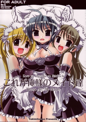  (C68) [Yukimi Honpo (Asano Yukino)] Kore ga Ore-sama no Maid-tachi (Kore ga Watashi no Goshujin-sama) [English] 