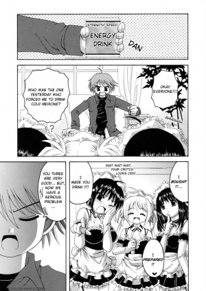  (C68) [Yukimi Honpo (Asano Yukino)] Kore ga Ore-sama no Maid-tachi (Kore ga Watashi no Goshujin-sama) [English]  - Page 5