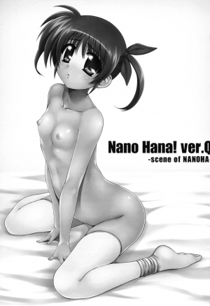 (C80) [Kossorikakuredokoro (Island)] Nano Hana! ver.Q -scene of NANOHA- (Magical Girl Lyrical Nanoha) [English] [TLRF] - Page 3