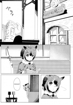 (C97) [Tokkun Dogeza (Tadano Magu)] CURIOSITY (Kemono Friends) [English] [PlaceholderTransl8r] - Page 4