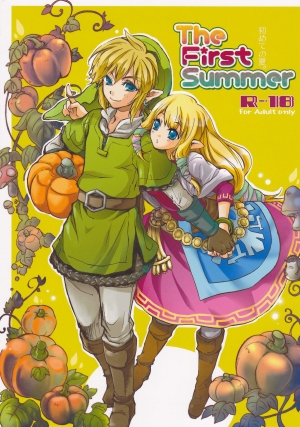 (HaruCC18) [Usagi Paradise (Misa)] Hajimete no Natsu | The First Summer (The Legend of Zelda: Skyward Sword) [English]