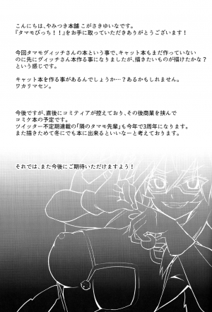 (COMIC1☆15) [Yamitsuki Honpo (Wise Speak)] Tamamo Bitch!!! (Fate/Grand Order) [English] [xinsu] - Page 19